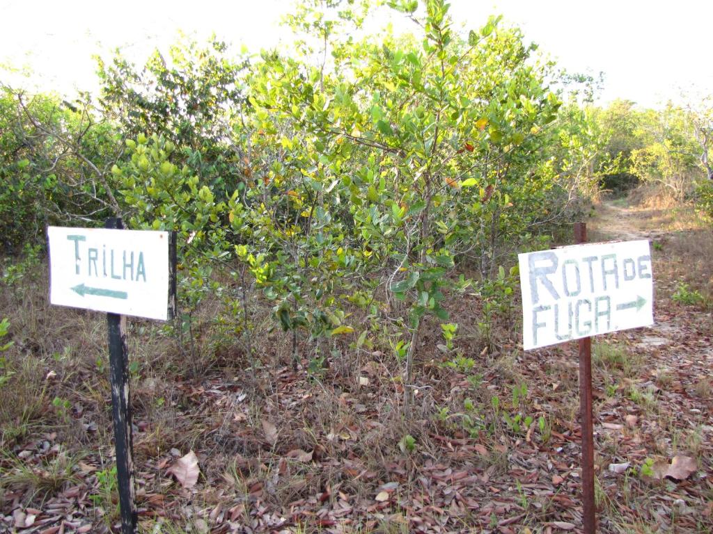 Hotel Fazenda Arara Azul photo 4