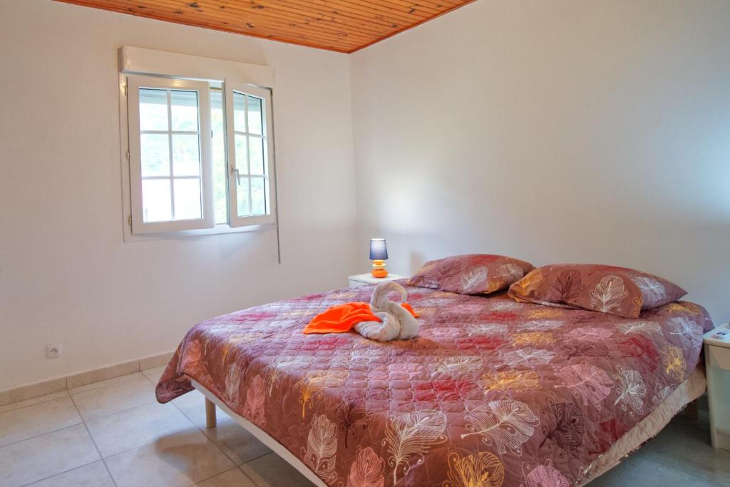 Charmant logement F3 au sud de la Martinique (PMR) photo 4