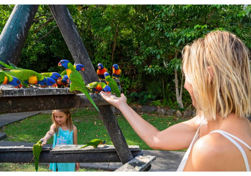 Discovery Parks - Airlie Beach photo 3