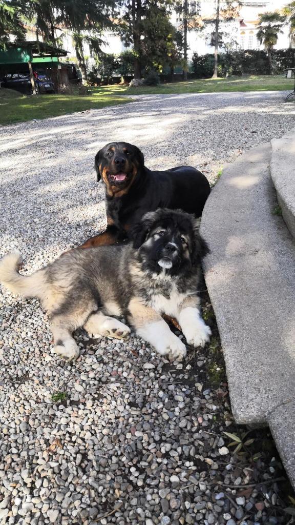 Invilla B&B photo 1