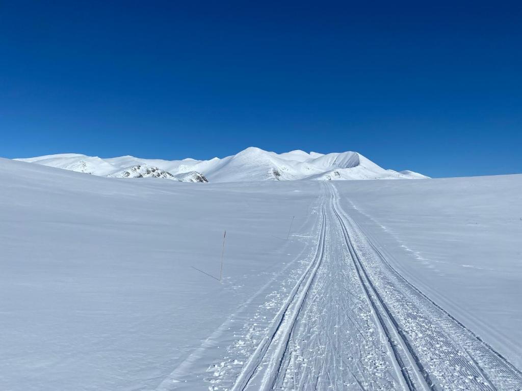 Trollvang photo 2