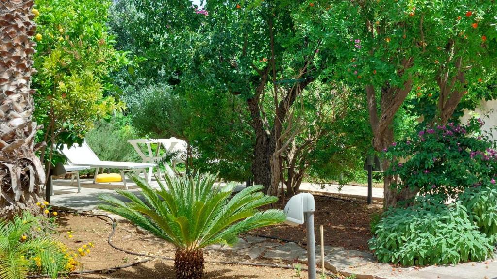 Buena Vista - Country Villa - Free Wifi, Outdoor Shower photo 2