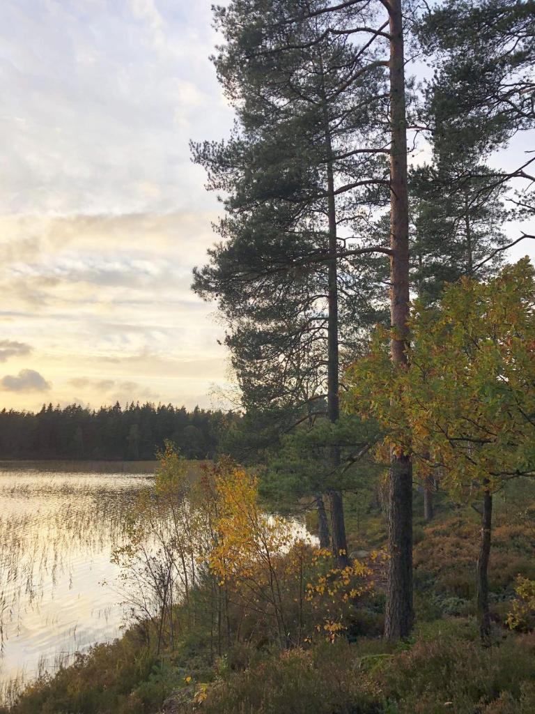 Nice holiday home in Grimshult with proximity to Lidhult in Smaland photo 1