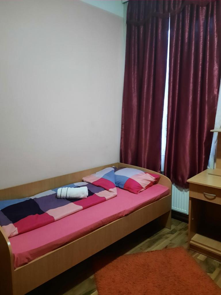 NENSI photo 3