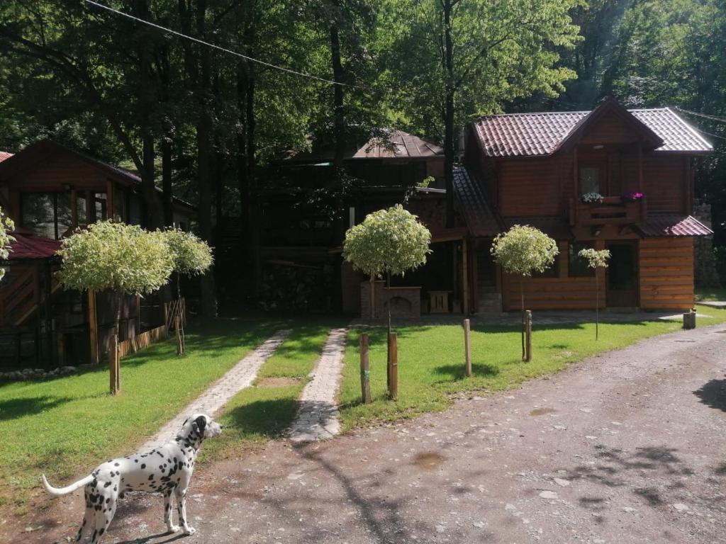 Vikendica Matovic Ovcar Banja photo 2