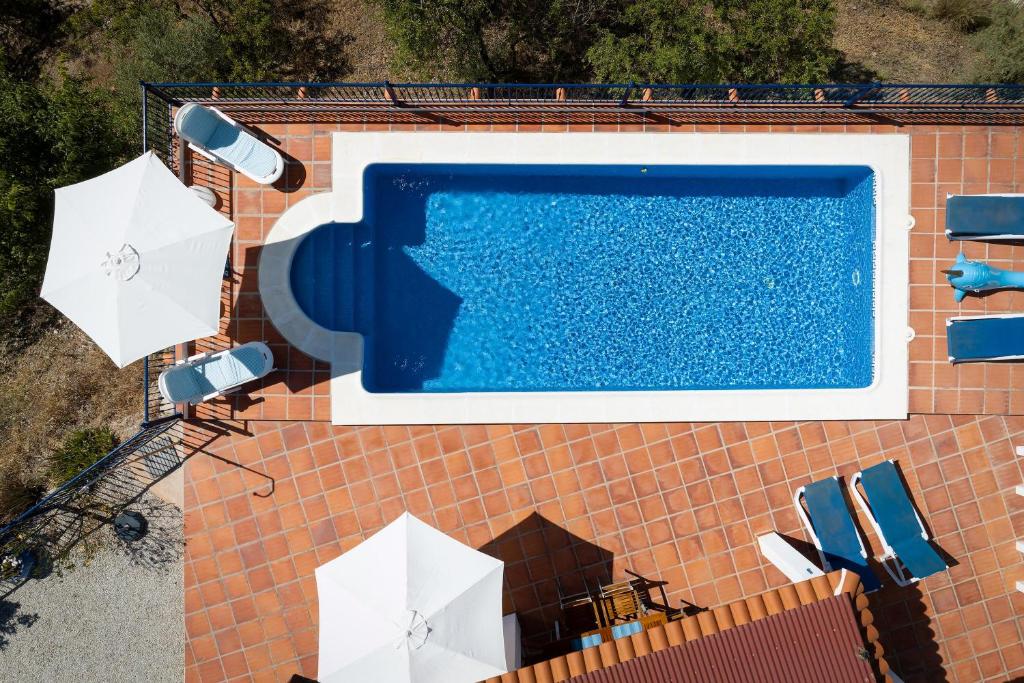 Wonderful Villa photo 2