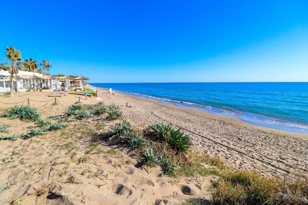 Romana Playa beachfront - Tap to explore photos