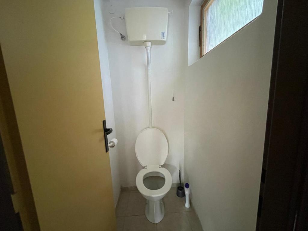 PENZION VIB Nová Živohošť photo 4