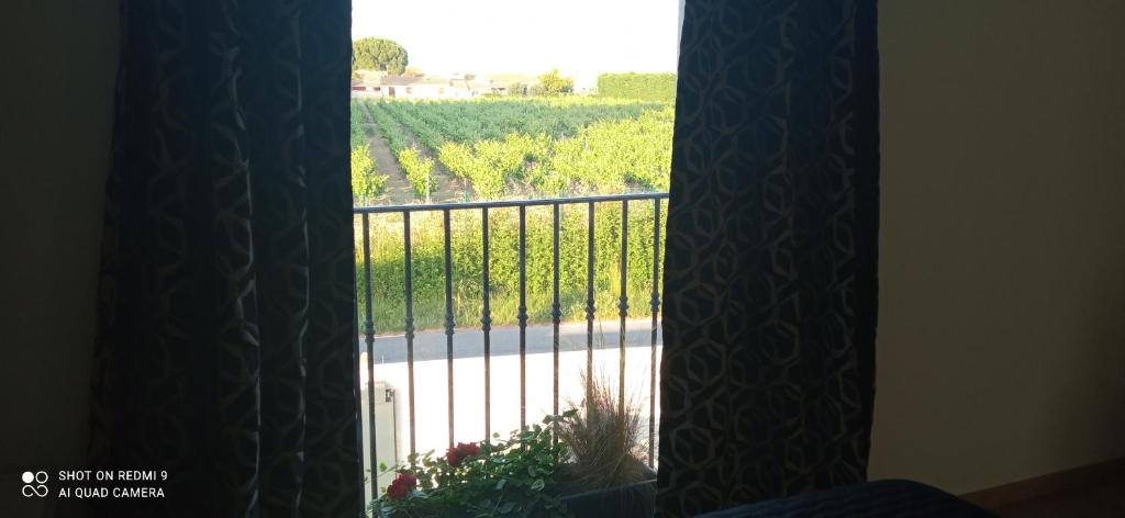 Appartement neuf et moderne au cœur de la Camargue photo 1