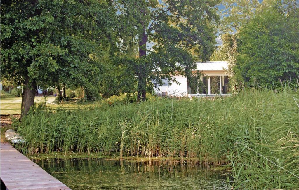 Beautiful Home In Heidesee Ot Wolzig With 1 Bedrooms And Wifi