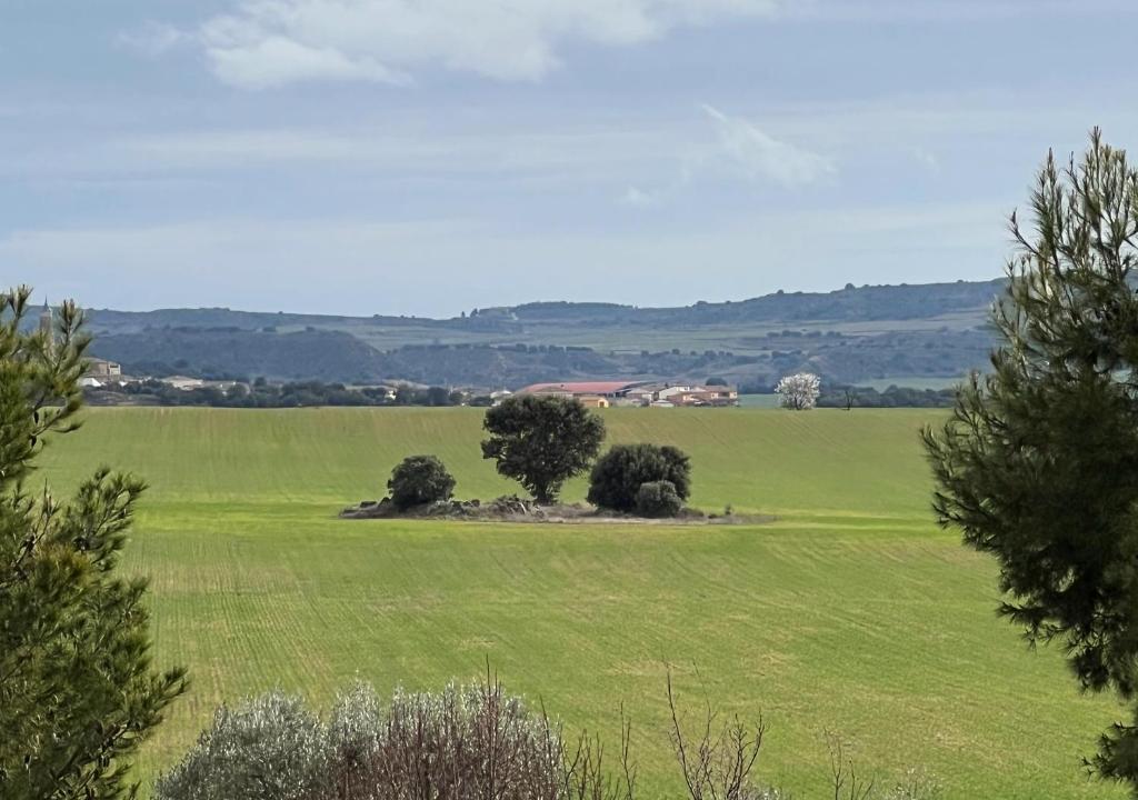 Castillo de Corvinos photo 1