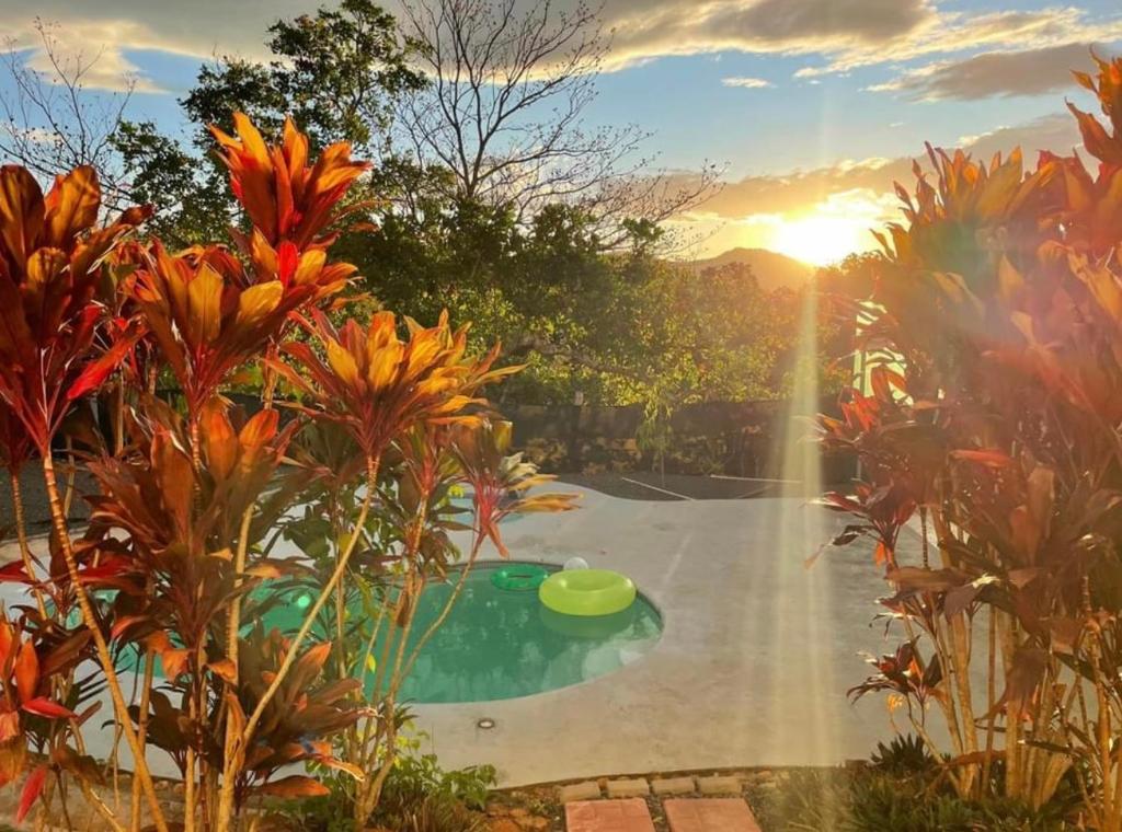 Quinta Don Noé photo 4