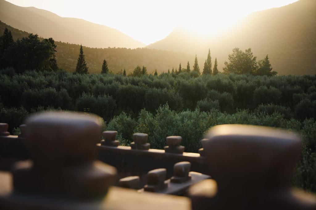 Olinto, Atlas Mountain Retreat - adults only photo 3
