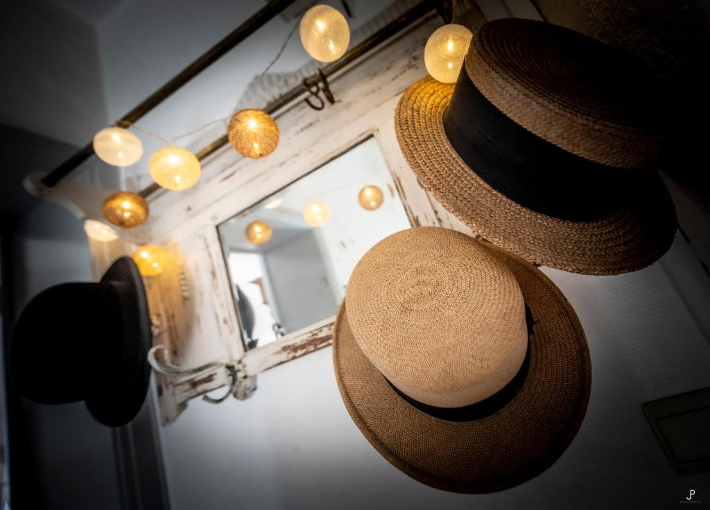 Les 3 chapeaux Dinant 6p Les canotiers 4p avec terrasse Le melon 2p SANS terrasse photo 4