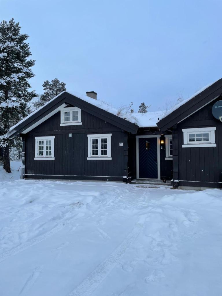 Hytte i nydelige Jotunhemen - rett ved Besseggen photo 2