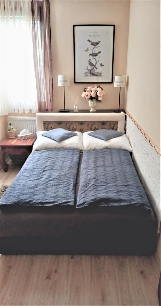 Tóparti Apartman photo 4