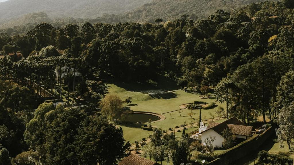 Roots Resort photo 3