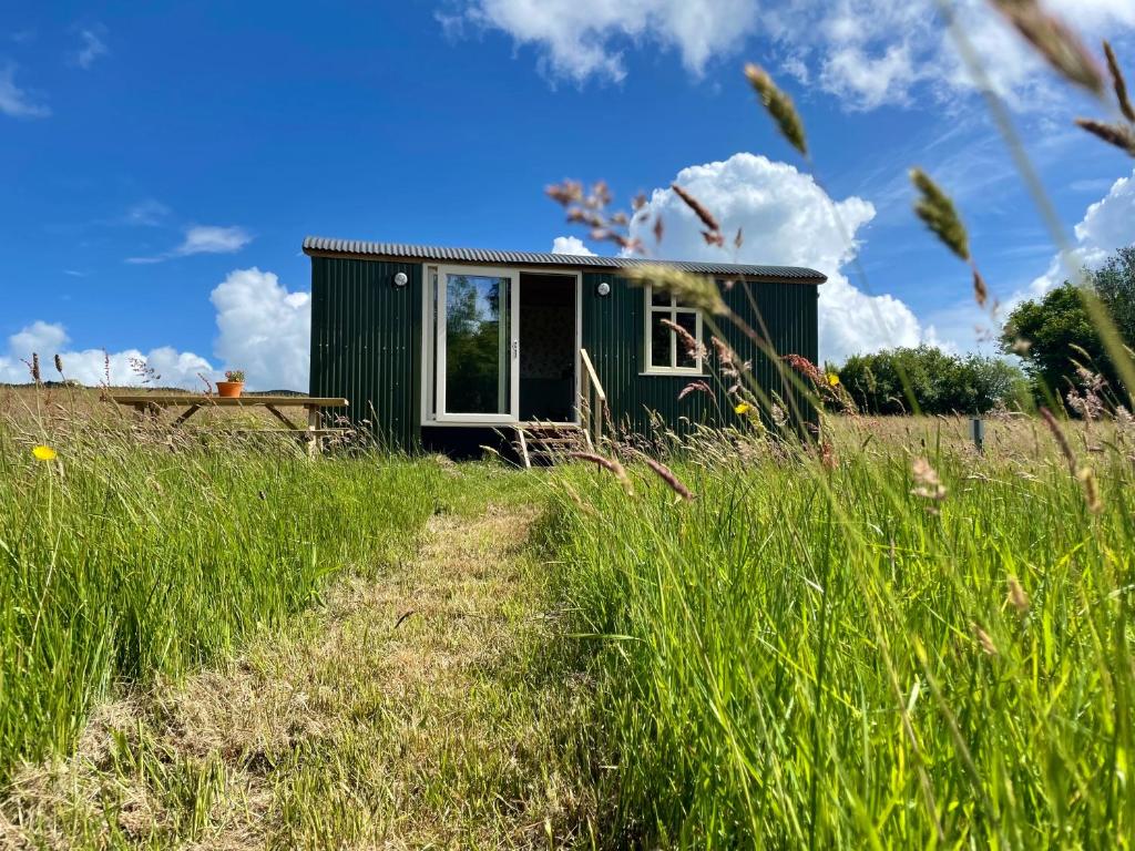 Stepping Stones Glamping ‘the olive’ photo 3
