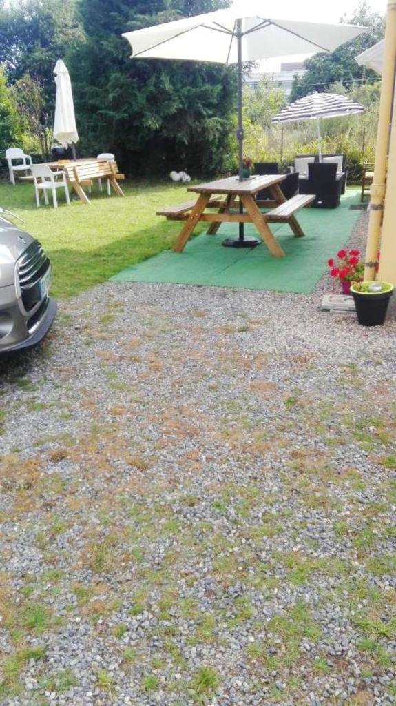 Maison de 2 chambres avec jardin clos et wifi a Vannes photo 1