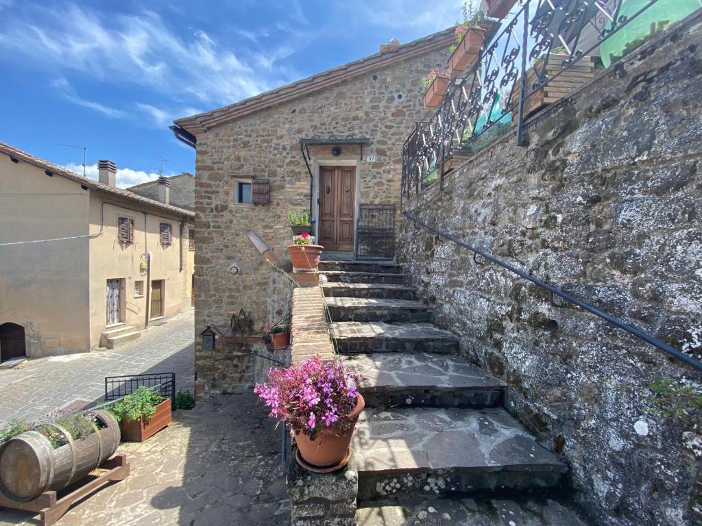 Panoramic Nest In Montalcino photo 2