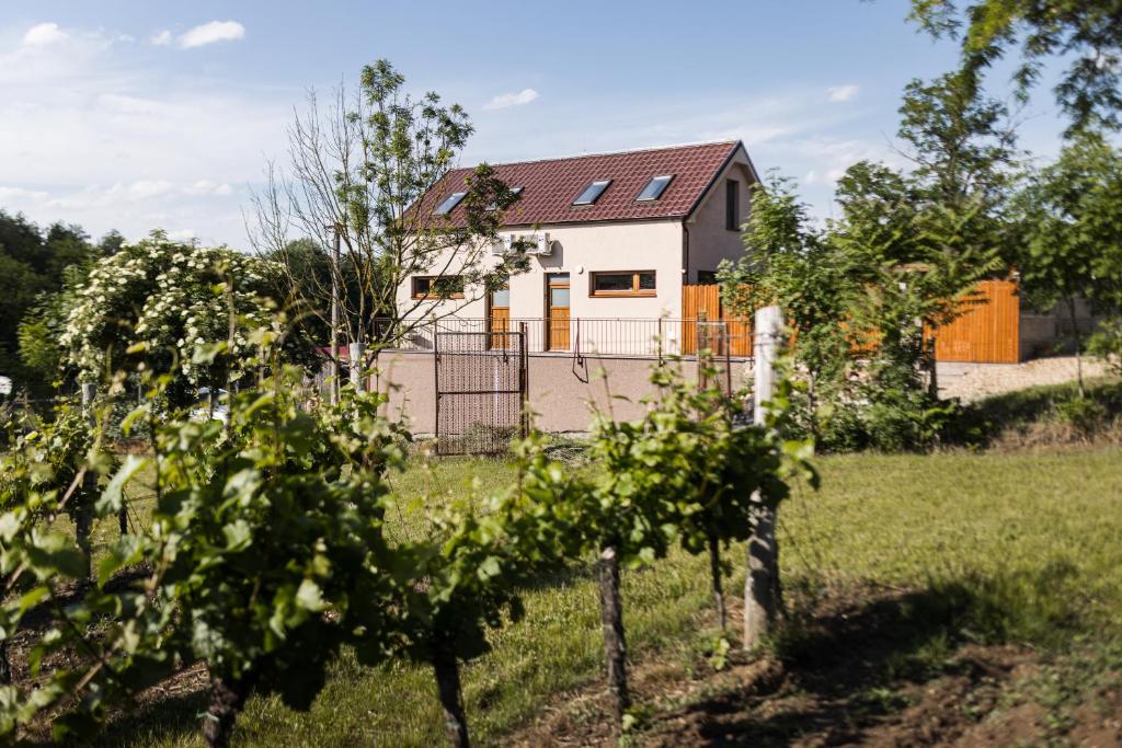 Sklep na Správném místě - degustace, ubytování a wellness photo 2