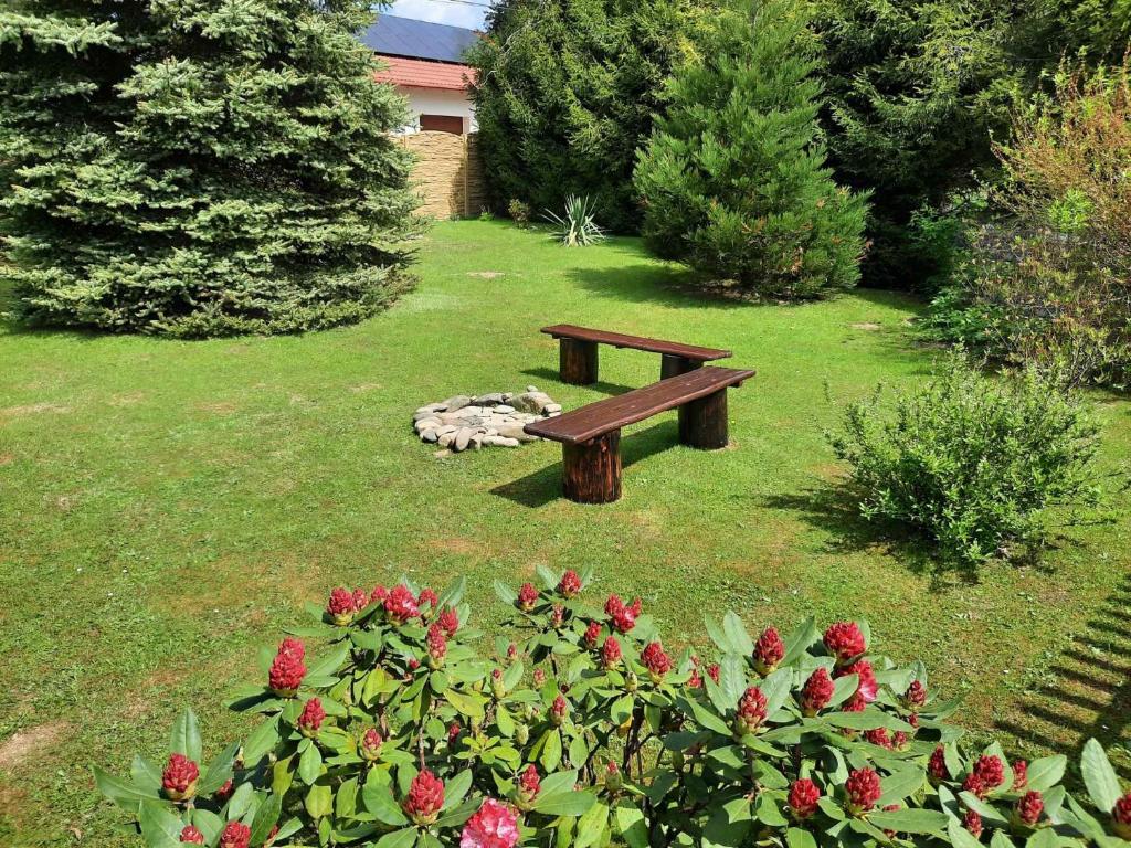 V přírodě na okraji Frenštátu pod Radhoštěm photo 2