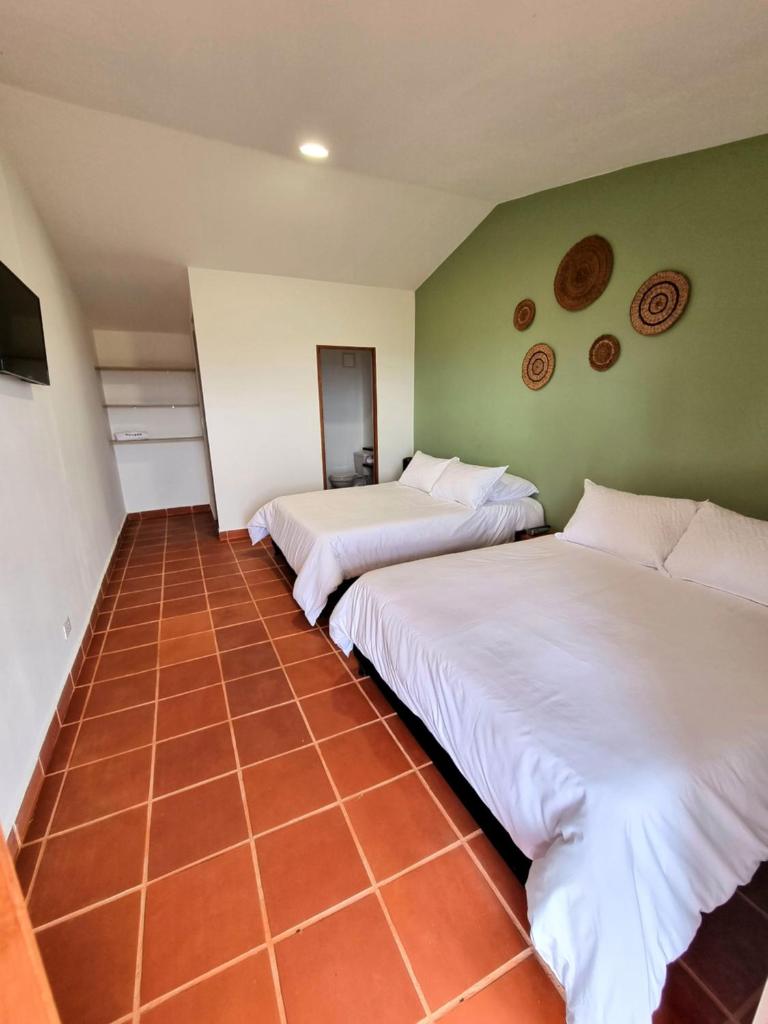 MOCANA BIOHOTEL photo 2