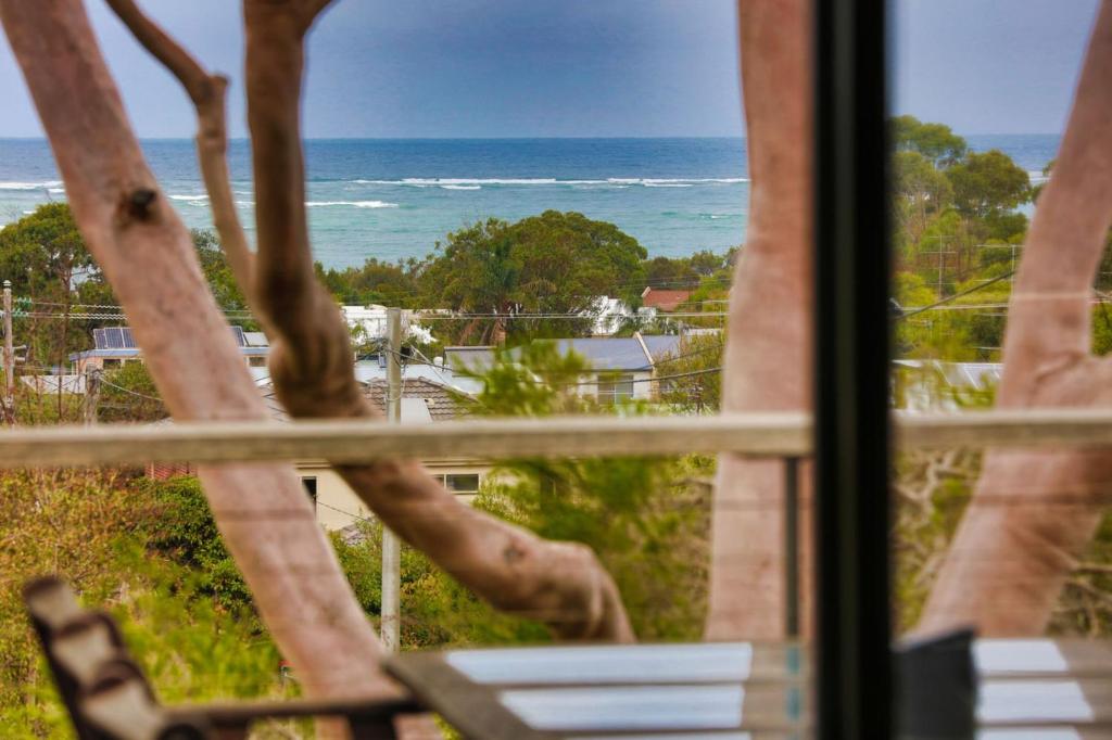 Coastal Beauty on Bruce photo 3