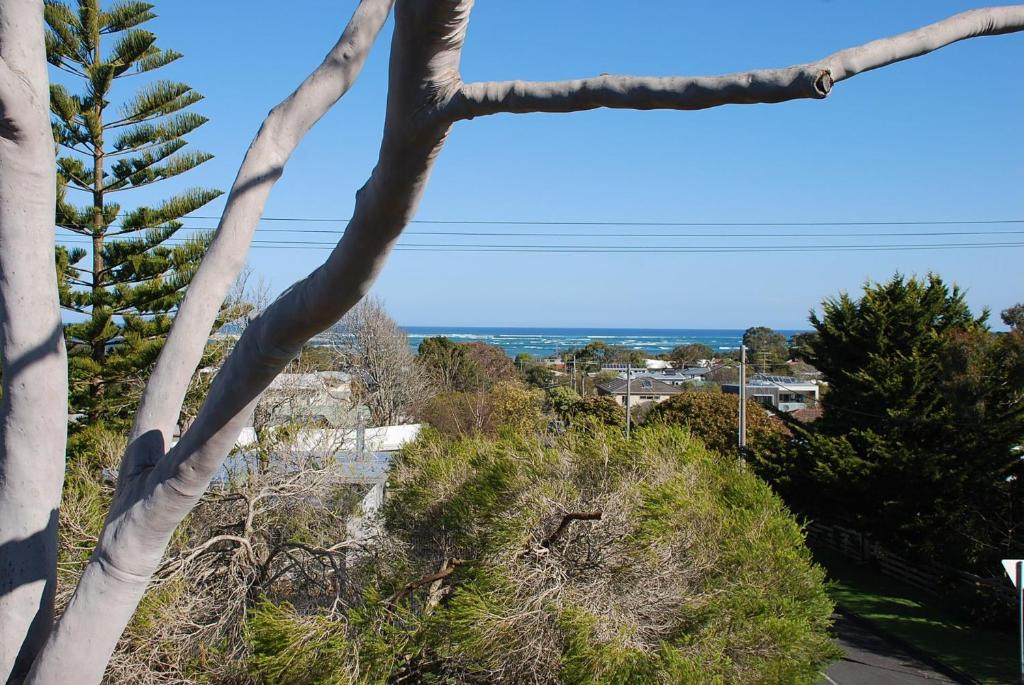 Coastal Beauty on Bruce photo 2