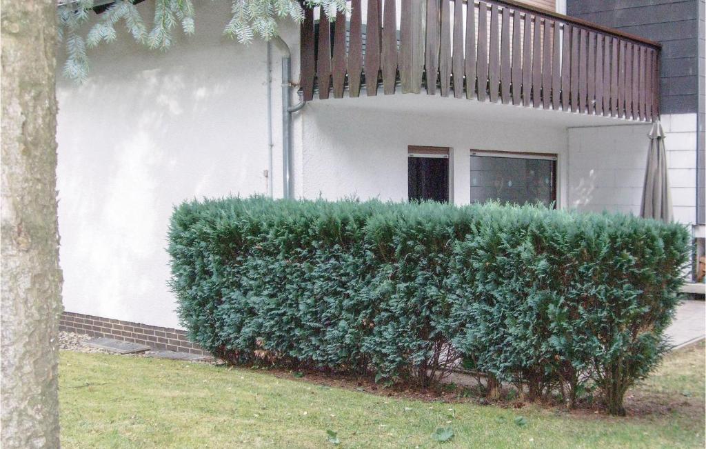 Beautiful Apartment In Goslar With 1 Bedrooms And Wifi photo 3