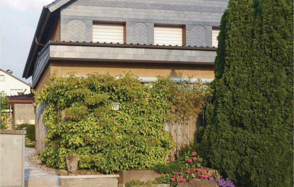 Stunning Apartment In Schieder-schwalenberg With 2 Bedrooms And Wifi