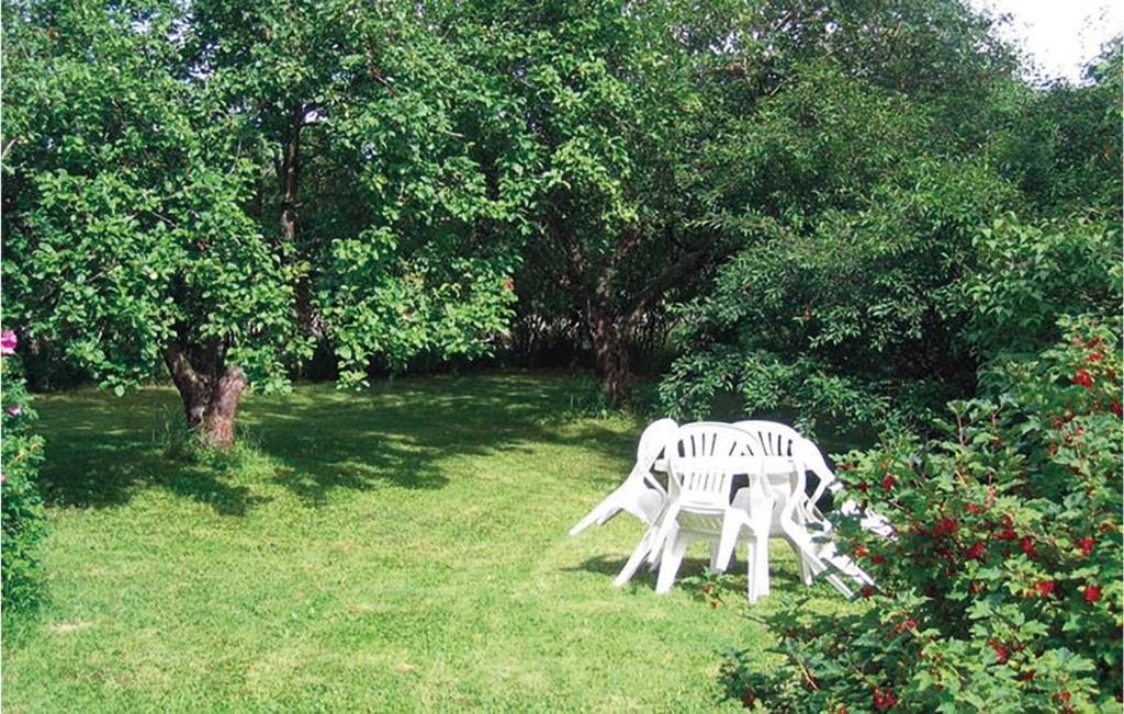 Amazing Home In Bygland With 3 Bedrooms photo 3