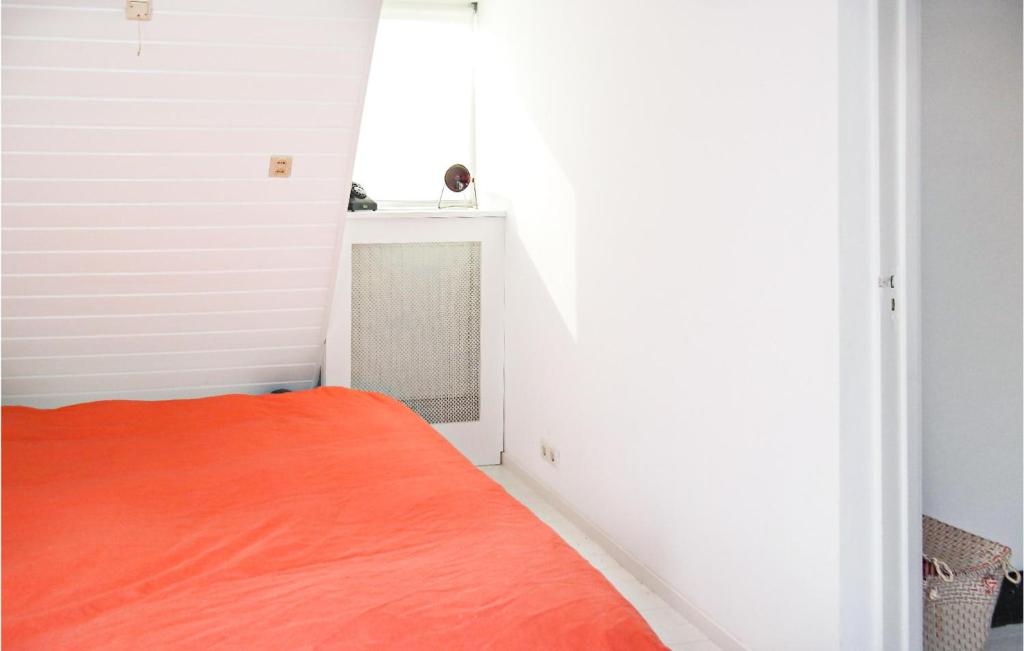 Paradis photo 4