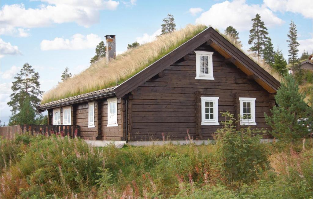 Awesome Home In Trysil With 4 Bedrooms, Sauna And Wifi photo 4