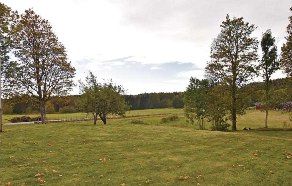 Nice home in Mellerud with 4 Bedrooms and WiFi photo 2