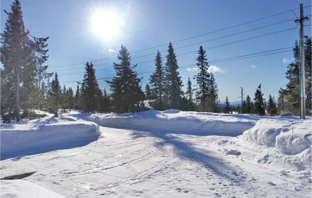 Awesome Home In Sjusjen With 5 Bedrooms And Wifi photo 3