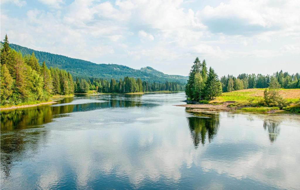 Amazing Home In Trysil With 4 Bedrooms, Sauna And Internet photo 3