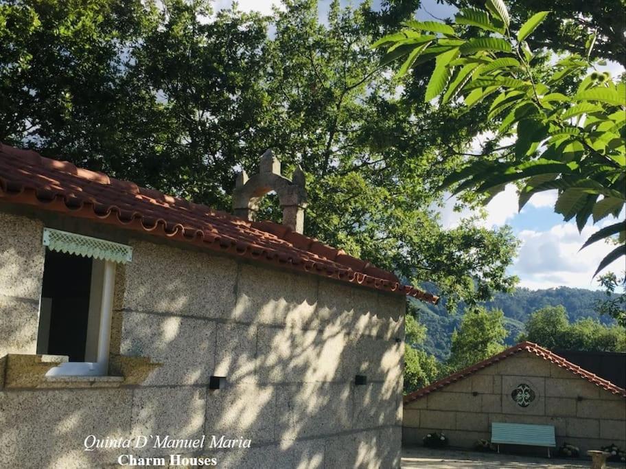 Amarante-Quinta D’Manuel Maria, Rural Charm Houses photo 1