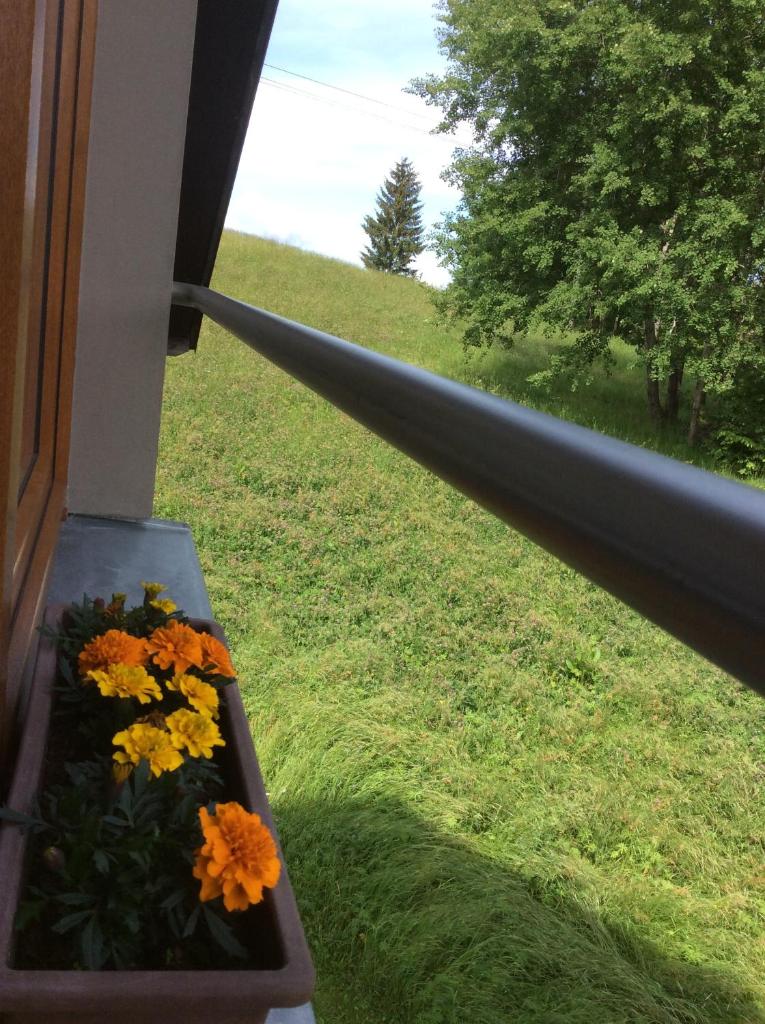 Apartman Odolov Jestřebí hory photo 2