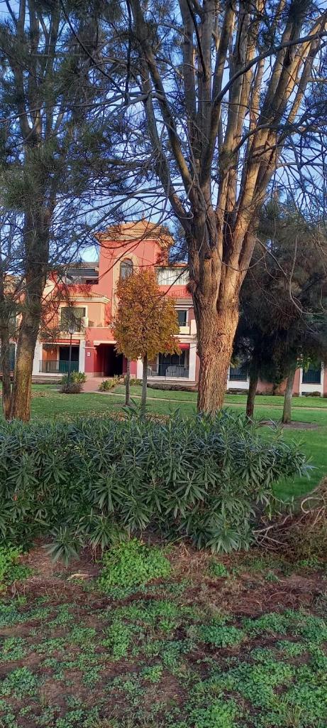 Apartamento Prado Golf photo 2