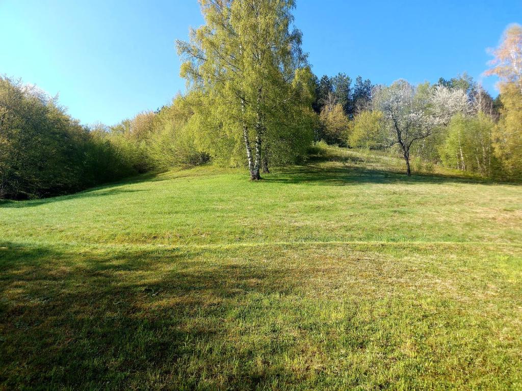 Dom Kuća photo 3