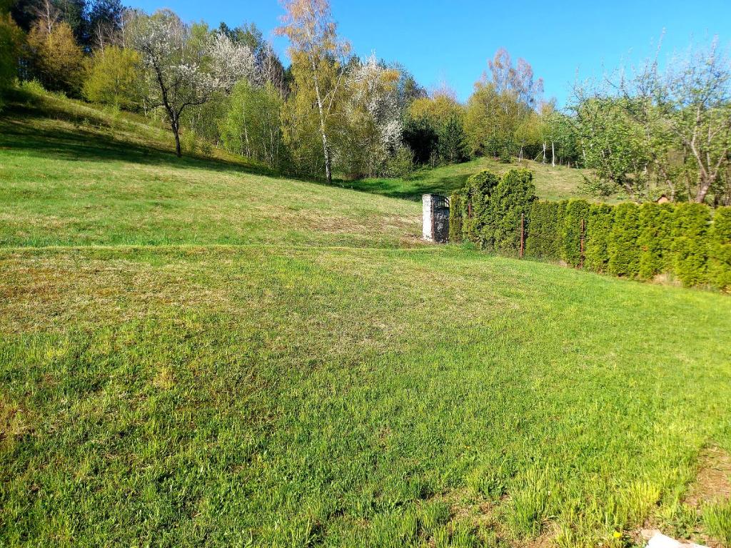 Dom Kuća photo 2