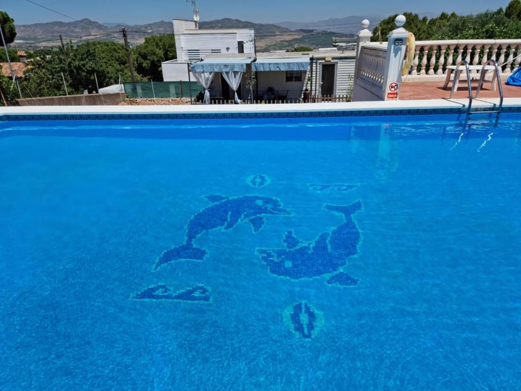Mi casita photo 2
