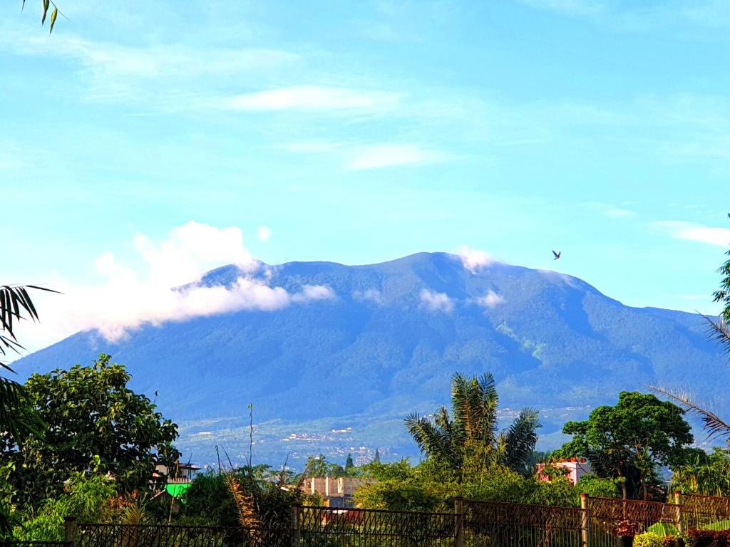 Villa Miky Kota Bunga Puncak Cianjur Bogor