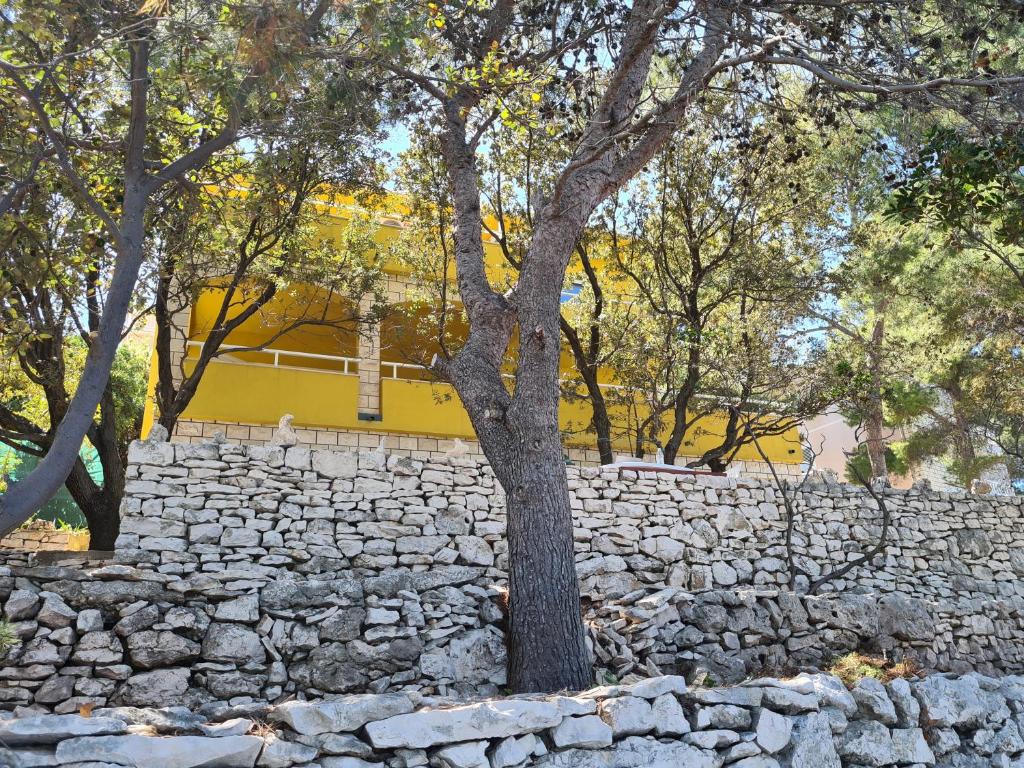 Vila Elena photo 1
