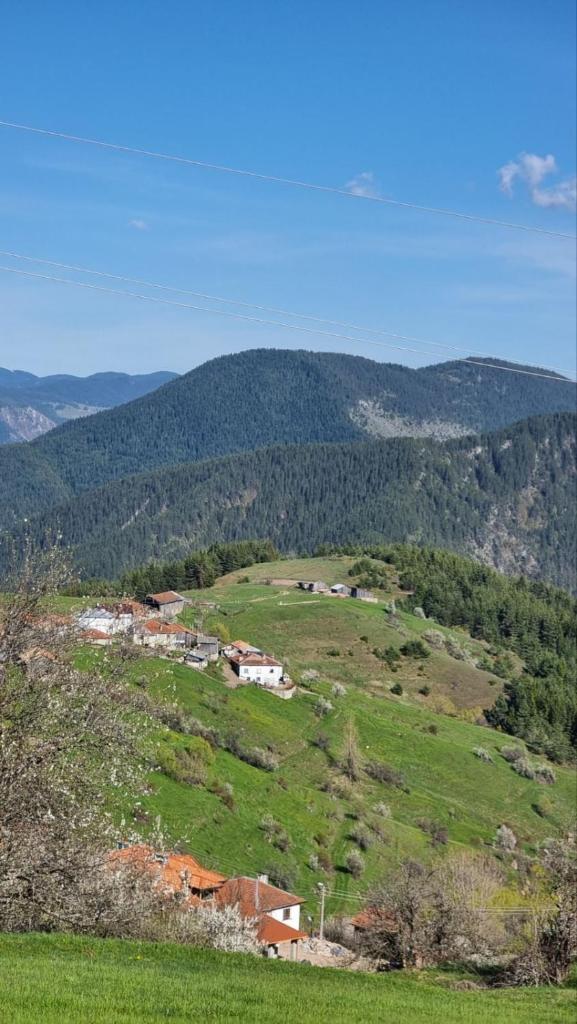 Родопска къща за гости с.ЧАЛА photo 2