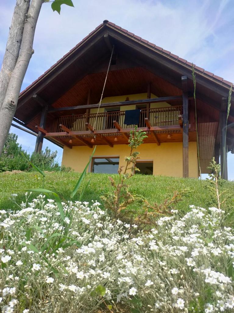 Sovica holiday home & tree house photo 3