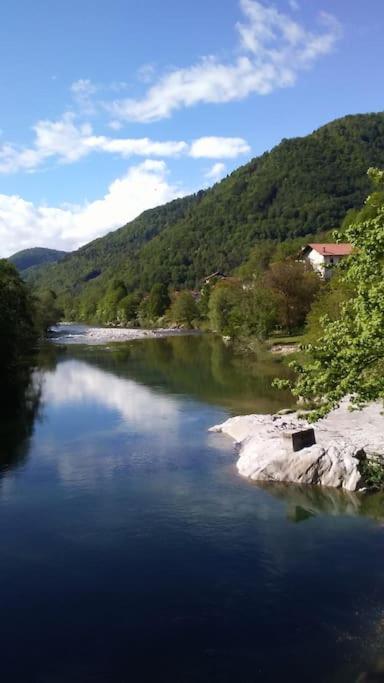 Pegaz photo 2