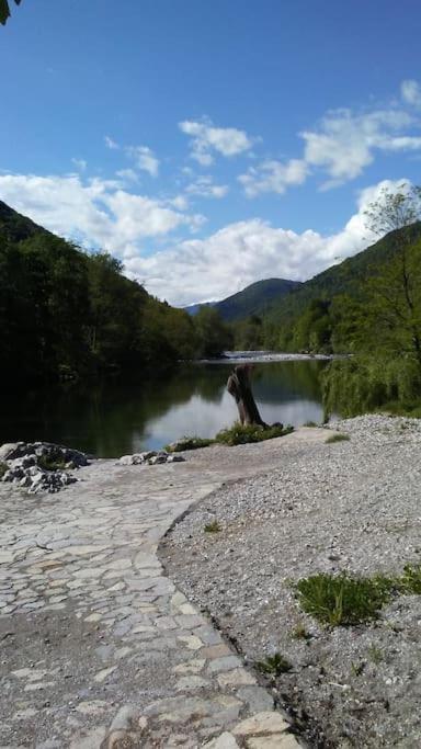 Pegaz photo 1