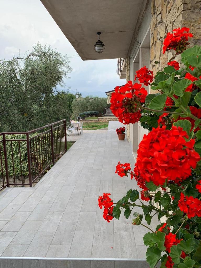 Casa Bruna, 3-room apartment with private garden photo 2